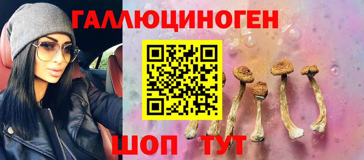 Дивногорск  Галлюциногенные грибы мухоморы  Псилоцибиновые грибы Psilocybe  Вход с VPN 
